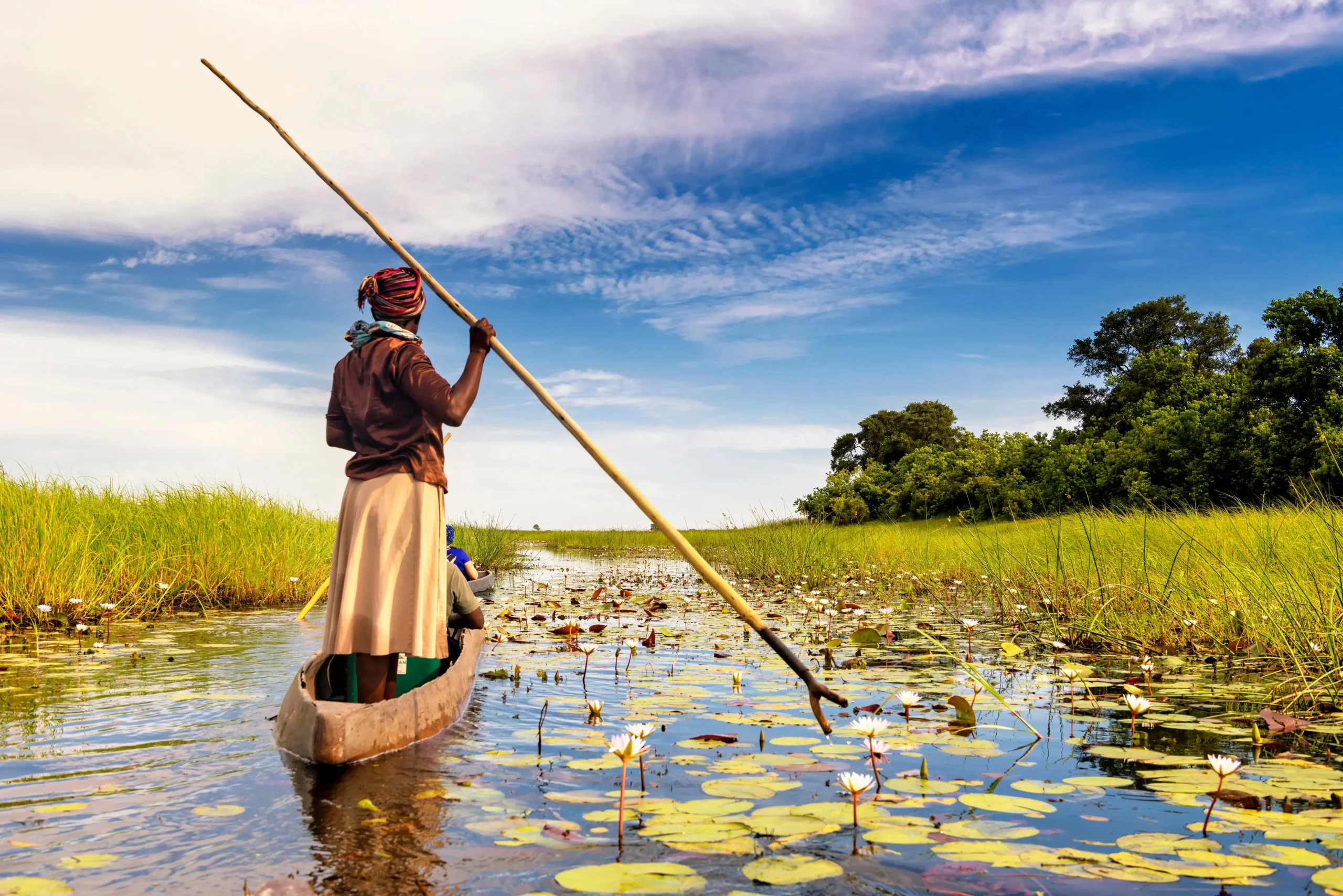 Discover Botswana: A Complete Guide to an Unforgettable Safari