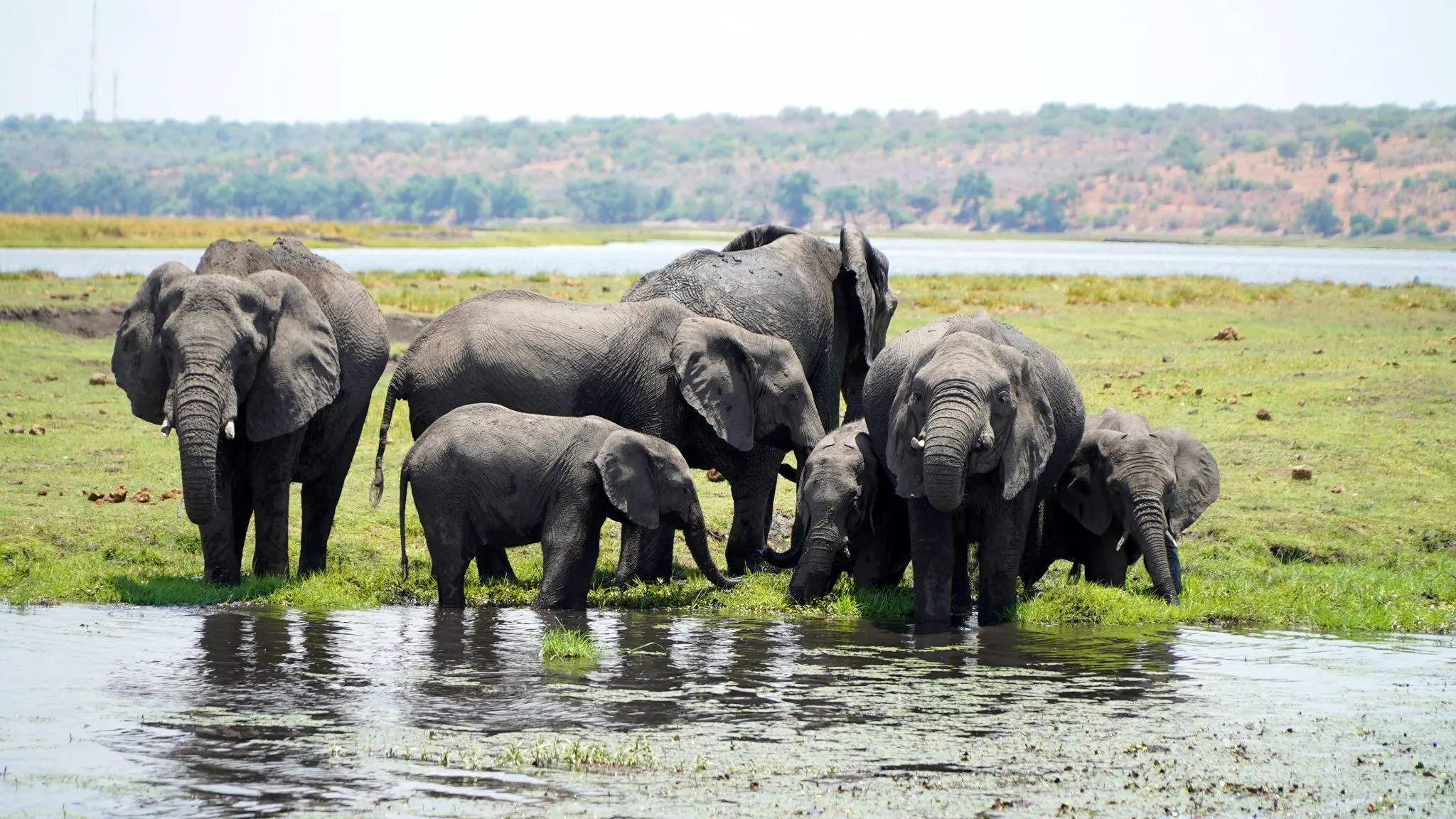 Discover Botswana: A Complete Guide to an Unforgettable Safari