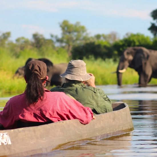 African Game Drive